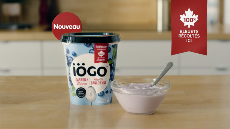 recolte-canadienne-bleuet